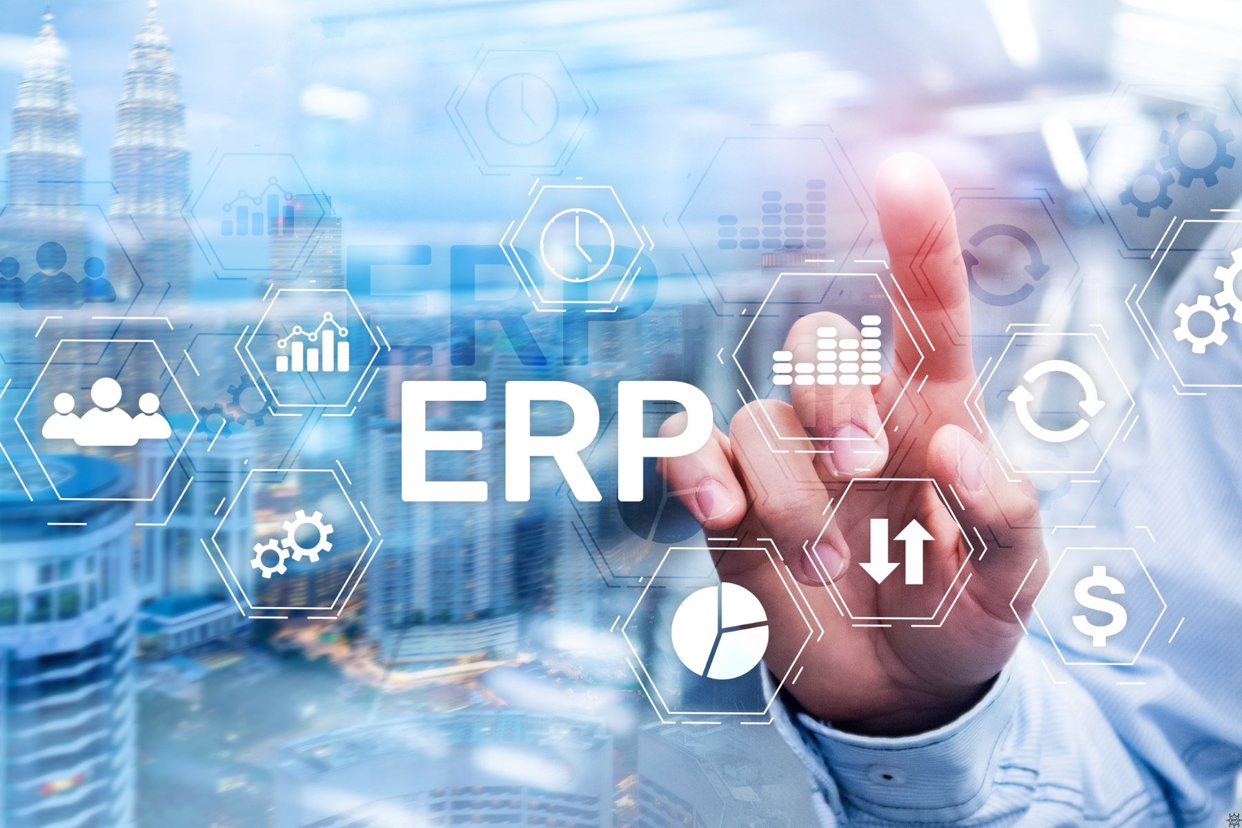 What is ERP Software