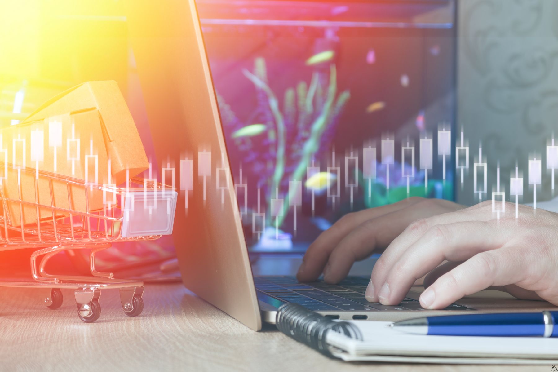 What Is Ecommerce Customer Service