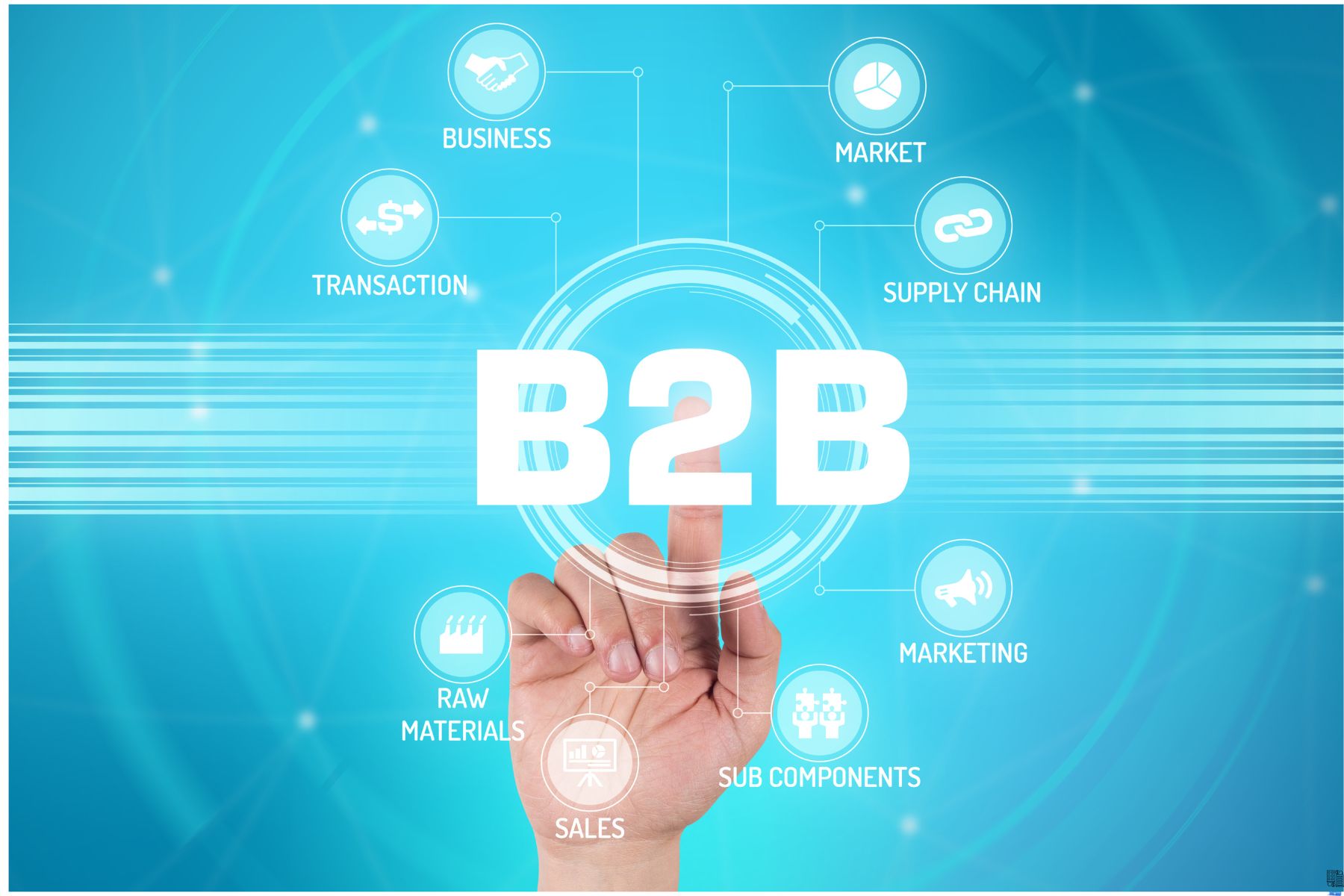 How to Develop a Web Portal