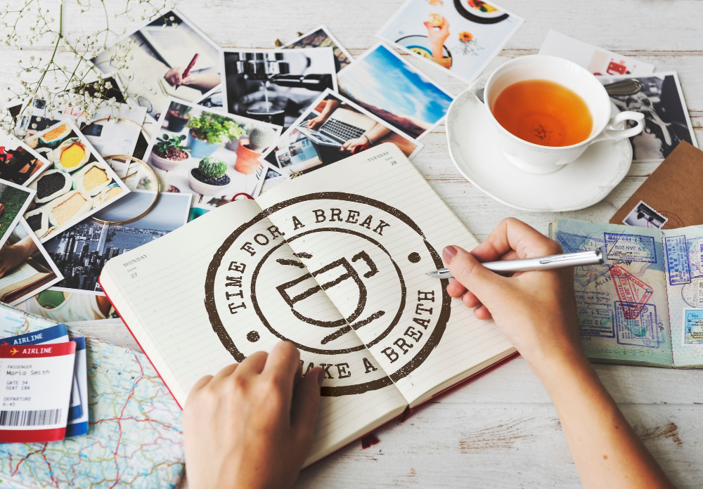 From Sketch to Vector-Perfect Design